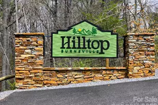 22 Salt Box Hvn, Burnsville, NC 28714 - Photo 2