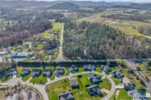 128 Shoeing Box Way, Hendersonville, NC 28792 - Photo 38