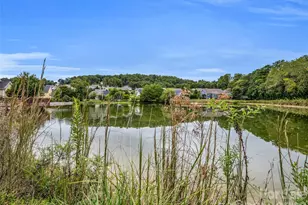 128 Shoeing Box Way, Hendersonville, NC 28792 - Photo 46