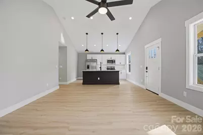 133 Moore Street, Hendersonville, NC 28739 - Photo 16