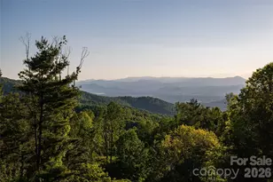 31 Bear Tree Ct, Hendersonville, NC 28792 - Photo 4