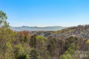 151 Kerr Rd, Leicester, NC 28748 - Photo 14