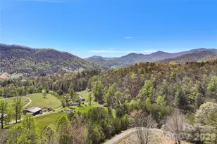 151 Kerr Rd, Leicester, NC 28748 - Photo 10