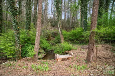 3002 Kanuga Road, Hendersonville, NC 28739 - Photo 16
