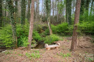 3002 Kanuga Rd, Hendersonville, NC 28739 - Photo 16