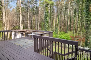 3002 Kanuga Rd, Hendersonville, NC 28739 - Photo 38