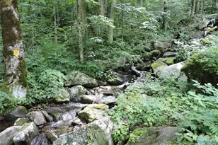 103 Chucks Ln, Bakersville, NC 28705 - Photo 40