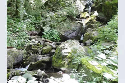 103 Chucks Lane, Bakersville, NC 28705 - Photo 38