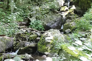 103 Chucks Ln, Bakersville, NC 28705 - Photo 38