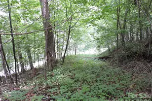 103 Chucks Ln, Bakersville, NC 28705 - Photo 46