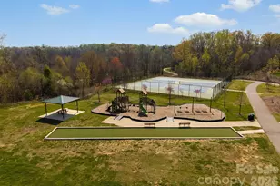 19722 Elise Caroline Aly, Davidson, NC 28036 - Photo 34