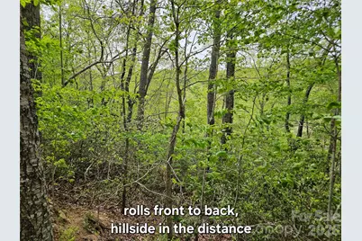 81 N Mill Ridge Road, Nebo, NC 28761 - Photo 16