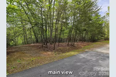 81 N Mill Ridge Road, Nebo, NC 28761 - Photo 1