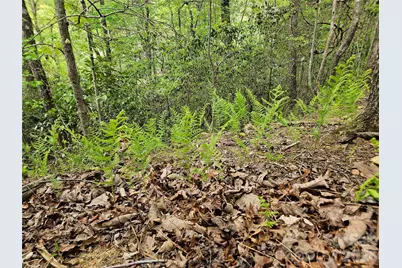 81 N Mill Ridge Road, Nebo, NC 28761 - Photo 8