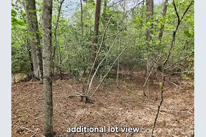 81 N Mill Ridge Road, Nebo, NC 28761 - Photo 2