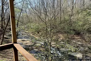 3695 Nc 9 Hwy N, Mill Spring, NC 28756 - Photo 46