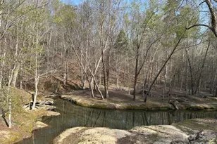 3695 Nc 9 Hwy N, Mill Spring, NC 28756 - Photo 42