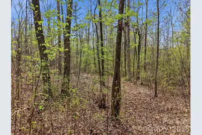 00 County Line Road, Kings Mountain, NC 28086 - Photo 12