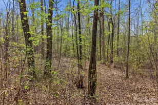 00 County Line Rd, Kings Mountain, NC 28086 - Photo 12