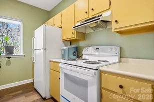 8 Covewood Rd, Asheville, NC 28805 - Photo 30