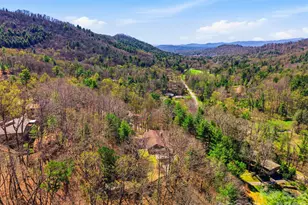 8 Covewood Rd, Asheville, NC 28805 - Photo 38