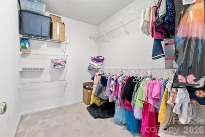 217 Spring Run Drive, Mooresville, NC 28117 - Photo 34