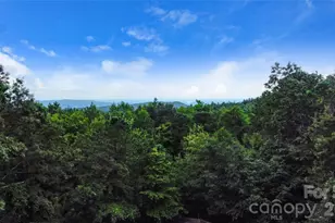 121 Toxaway Vws Dr, Lake Toxaway, NC 28747 - Photo 44