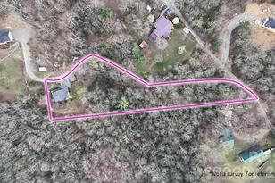 38 Pne Hl Rd, Fairview, NC 28730 - Photo 6