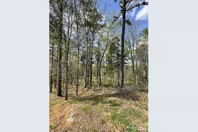 2409 Falling Leaf Court #69, Rock Hill, SC 29732 - Photo 4