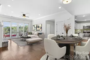 29 W French Broad St, Brevard, NC 28712 - Photo 2