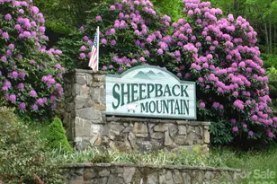 536 Lands End Ln, Maggie Valley, NC 28751 - Photo 42