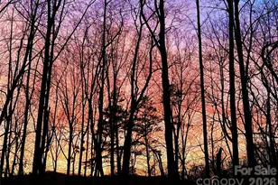 31 Cozy Cottage Wy, Arden, NC 28704 - Photo 38