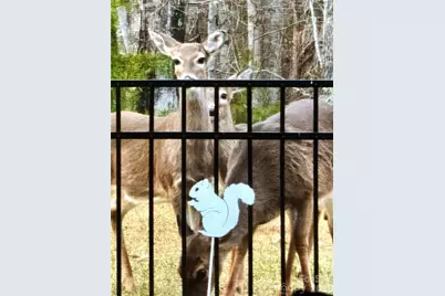 31 Cozy Cottage Way, Arden, NC 28704 - Photo 36