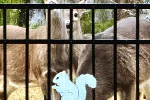 31 Cozy Cottage Wy, Arden, NC 28704 - Photo 36