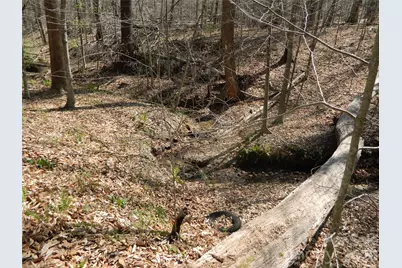 1329 Overlook Drive SW, Lenoir, NC 28645 - Photo 8