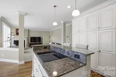 19760 Hagen Knoll Drive, Davidson, NC 28036 - Photo 14