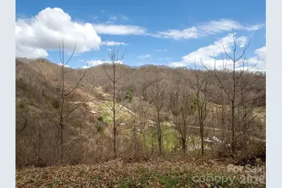 Tbd Wilson Cove Road, Canton, NC 28716 - Photo 14