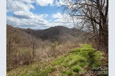 Tbd Wilson Cove Road, Canton, NC 28716 - Photo 16