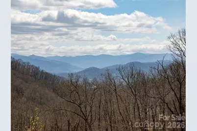 Tbd Wilson Cove Road, Canton, NC 28716 - Photo 10