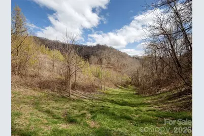 Tbd Wilson Cove Road, Canton, NC 28716 - Photo 20