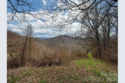 Tbd Wilson Cove Road, Canton, NC 28716 - Photo 12