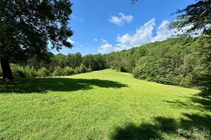 282 Calhoun Trail, Rutherfordton, NC 28139 - Photo 6