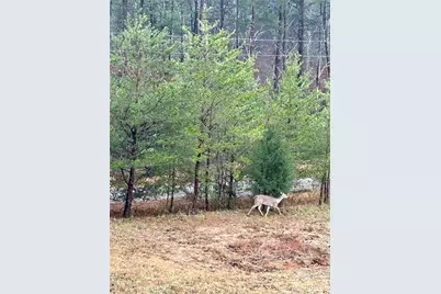 282 Calhoun Trail, Rutherfordton, NC 28139 - Photo 42