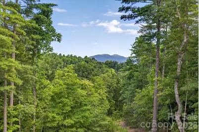 217 Sycamore Drive, Nebo, NC 28761 - Photo 44