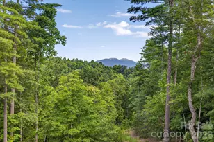 217 Sycamore Dr, Nebo, NC 28761 - Photo 44