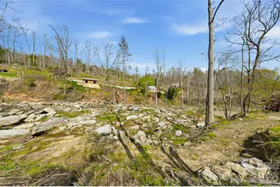 45 Alan Retreat Road, Hendersonville, NC 28792 - Photo 34