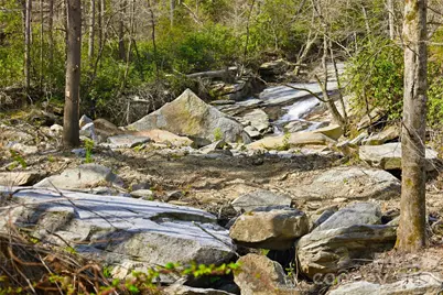 45 Alan Retreat Road, Hendersonville, NC 28792 - Photo 6