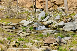 45 Alan Retreat Rd, Hendersonville, NC 28792 - Photo 30