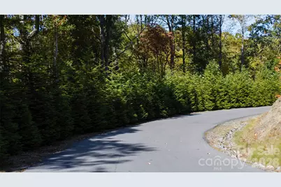 106 Skydance Trail, Hendersonville, NC 28739 - Photo 8