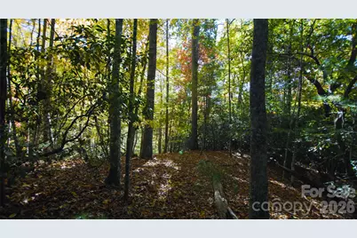 106 Skydance Trail, Hendersonville, NC 28739 - Photo 4